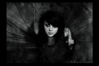 <b>Les <i>fleurs</i> du <font color=